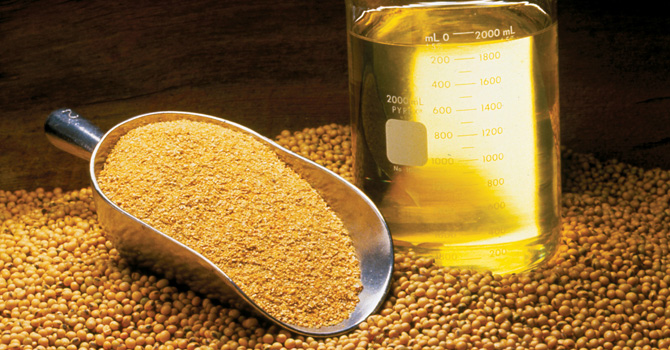 agricultural-products-img 1